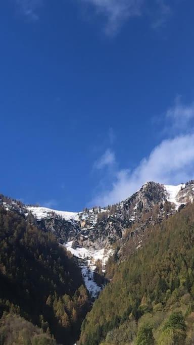 Il Sole Di Ester Branzi Eksteriør billede